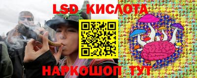 твердый Бийск