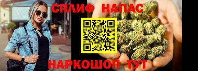 твердый Бийск