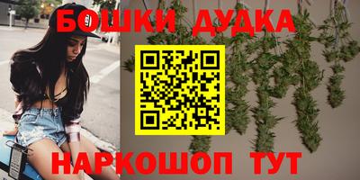 твердый Бийск