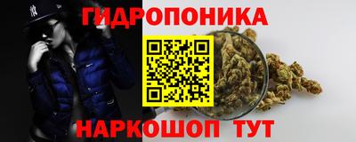 твердый Бийск